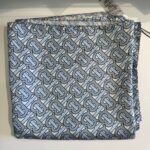BURBERRY MAVİ EŞARP